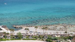an aerial view of a beach with palm trees and the ocean at Aquagrand Artistic Luxury Beach Resort - Adults Only in Líndos +122 photos