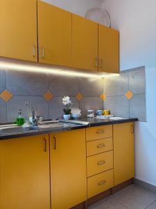 Η κουζίνα ή μικρή κουζίνα στο Apartment Old Stone