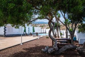 a bench sitting under a tree next to a pool at Apartamento acogedor con Piscina en Tenerife in Icor