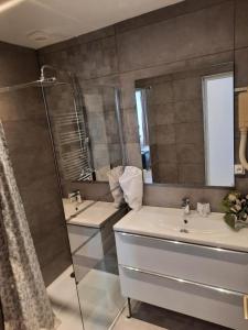 a bathroom with a sink and a shower and a mirror at Le Faidherbe Hotel Coeur de ville in Boulogne-sur-Mer