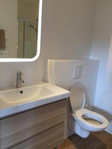 a bathroom with a sink and a toilet and a mirror at Villa MA&VA in Lacanau-Océan