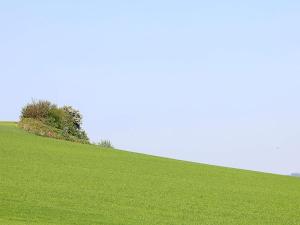 Naturlandskabet i nærheden af feriehuset