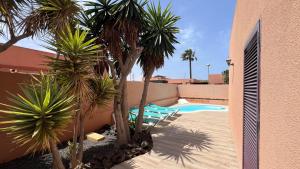 a pool with palm trees next to a building at Anahi Homes Corralejo - Villa Drago 12 in La Oliva