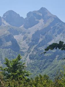 a view of a mountain range with trees in the foreground at Lekic B&B in Kovačica
