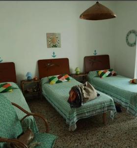 ein Zimmer mit zwei Betten und einem Hund, der auf dem Bett liegt in der Unterkunft Etrusca in Marina di Castagneto Carducci