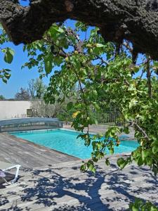 Πισίνα στο ή κοντά στο 1 chambre 1 cuisine & salle d'eau privées avec piscine et jacuzzi