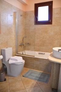 a bathroom with a shower and a toilet and a sink at Blue and Green Guesthouse in Mystras