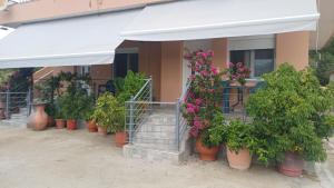 a row of potted plants in front of a building at Acheron Flow by ΜΡS in Chóïka