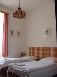 sypialnia z 2 łóżkami i żyrandolem w obiekcie Hotel Filippi w mieście Ždírec nad Doubravkou