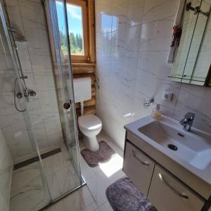 a bathroom with a toilet and a sink and a shower at Beloglavi sup in Nova Varoš +28 photos