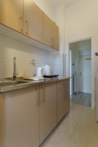Η κουζίνα ή μικρή κουζίνα στο Boem residence Skadarlija PARKING