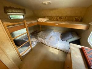 Galeriebild der Unterkunft Glamping- Fifth Wheel RV Getaway in Bathurst