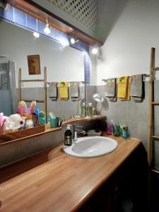 a bathroom with a sink and a mirror at Chez Rodolphe in Le Tampon