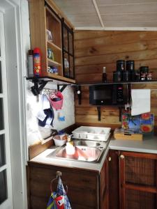 a kitchen with a sink and a microwave at Chez Rodolphe in Le Tampon