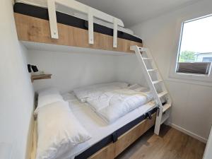 Dormitorio pequeño con litera y escalera en Ostseeferienpark Walkyrien - Lotse g, en Kagelbusch 19 fotos más