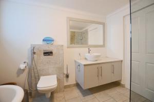 a bathroom with a sink and a toilet and a mirror at Blue Crane in Yzerfontein +21 photos
