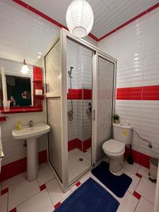 a bathroom with a shower and a toilet and a sink at Riad do artista space in El Jadida