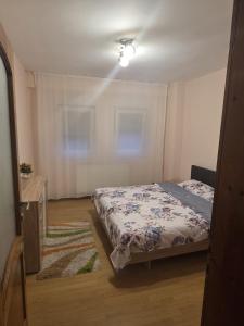 Postel nebo postele na pokoji v ubytování Matei apartament