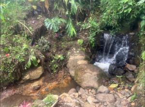 Φωτογραφία από το άλμπουμ του Casa El Pinar σε Jardin