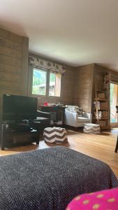 TV a/nebo společenská místnost v ubytování Hameaux du glaciers