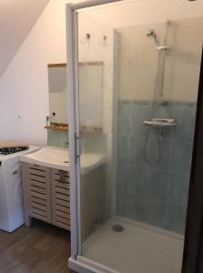 una doccia con una porta in vetro in un bagno di Appartement à l'Aujardière a Durtal Altre 2 foto