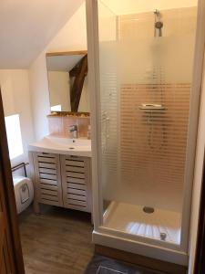 un bagno con doccia, lavandino e WC di Appartement à l'Aujardière a Durtal