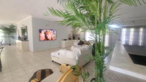 Una sala de estar con un sofá y una palmera. en Charming 3 bedroom guesthouse - 2300, en Kariba