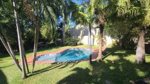 una piscina en un patio con palmeras en Charming 3 bedroom guesthouse - 2300, en Kariba