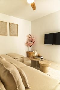 een woonkamer met een bank en een flatscreen-tv bij Nusa B in Jan Thiel