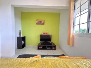 a bedroom with a green wall and a tv at Maison charmante avec jardin clos à Sainte-Anne in Sainte-Anne