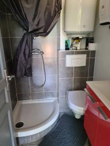 a small bathroom with a toilet and a sink at Charmant studio à Saint-Ay, 25 m², avec vue sur le jardin in Saint-Ay