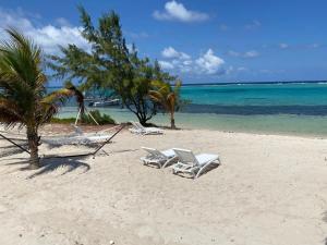 two chairs and palm trees on a beach at The One Love at Cottages in Sand Bluff