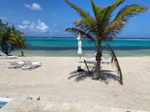 a beach with chairs and a palm tree and the ocean at The Turtle Nest at Cottages in Sand Bluff