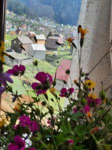 Fotografie z fotogalerie ubytování Bakhmaro House v destinaci Chʼkhakoura