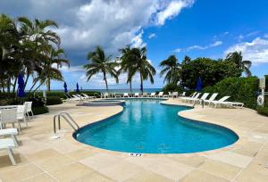 a pool with chairs and palm trees and the ocean at Crescent Point #9: 3Bed Condo in Dog City