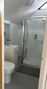 a white bathroom with a shower and a toilet at Charming King Bed Ensuite Studio in Peaceful West Challow in Wantage