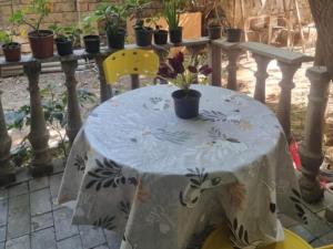 una mesa con un mantel en ella con plantas en ella en nizami m hostel, en Baku 1 foto más