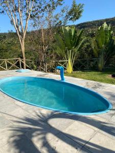 Una piscina con un pato de plástico azul dentro. en Cilene Alves, en Barbalha