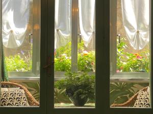 a window with a potted plant in a room at Venetian dream apartment in Venice