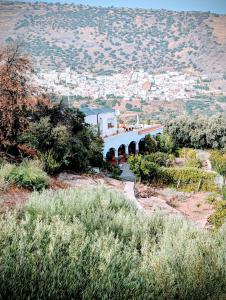 ein Haus auf einem Hügel mit Blick auf eine Stadt in der Unterkunft Casa rural para 4 personas, 2 dormitorios y terraza sombreada - El Cortijo Escondido, La Uva in Ohanes