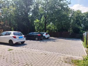 three cars parked in a brick parking lot at Apartamenty NOVA na Krakowskiej No 2 in Bielsko-Biala