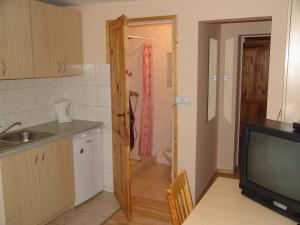 a kitchen with a television and a bathroom with a shower at Hostel Victoria in Krakow
