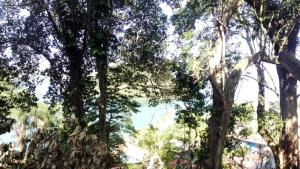 Fotografie z fotogalerie ubytování Casa Sitio Junqueira v destinaci Mangaratiba