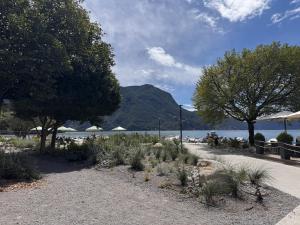 a beach with umbrellas and trees and a body of water at Lakeside Lugano in Lugano
