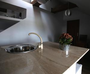 a kitchen counter with a sink and a potted plant at Nowy Rynek 10 in Płock +43 photos