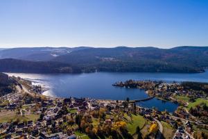 an aerial view of a town and a lake at Kurhotel Schluchsee Apartment 1305 in Schluchsee