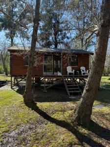 En have udenfor Sweet Home 2