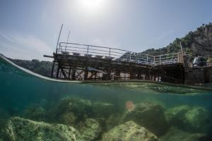 a diver swimming in the water near a pier at Hotel Baia Di Puolo in Massa Lubrense