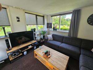 a living room with a couch and a coffee table at Chalet het zonnehuisje 3 slaapkamers in Appelscha