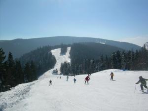 Gallery image of Apartment Rozika in Slovenj Gradec